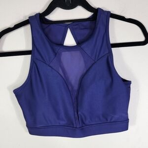 P'tula Purple Sports Bra